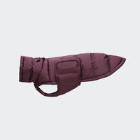 Produktbild von Cloud7 Hundemantel Alaska Winter wasserdicht vegan Dark Aubergine Größe 4