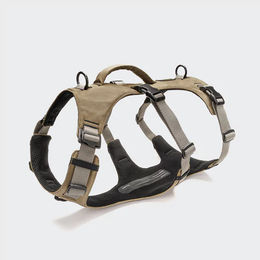 Produktbild von Cloud7 Sicherheitsgeschirr AKTIV für Hunde Mini XS Beige Grau wasserabweisend aus Nylon