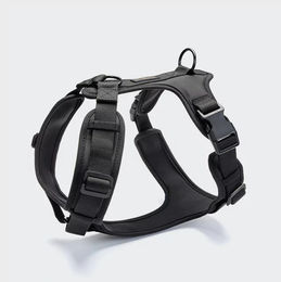 Produktbild von Cloud7 Sportgeschirr für Hunde Wasserabweisendes Nylon Geschirr Schwarz Größe L