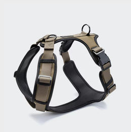 Produktbild von Cloud7 Y-Geschirr Hund Geschirr Nylon Grün Größe M wasserabweisend