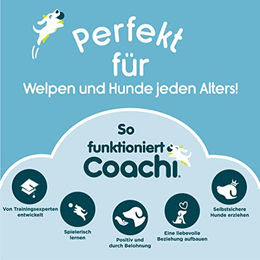 Coachi Trainingspfeife für Hunde mit verstellbarem Trageband in Orange aus Kunststoff – Bild 1 von 4