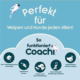 Coachi Tuggi Ball Trainingsspielzeug für Hunde Blau 45 cm – Bild 1 von 4