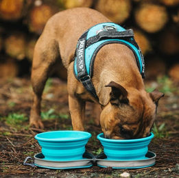 COFI 1453 Reisenäpfe für Tiere aus Silikon Blau 2 Stück faltbar – Bild 1 von 1