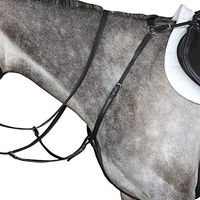 Produktbild von Collegiate IV Hunter Brustblatt aus Leder in Schwarz Full Size