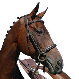Produktbild von Collegiate Syntovia+ Cavesson Trense mit Polsterung für Warmblut in Braun