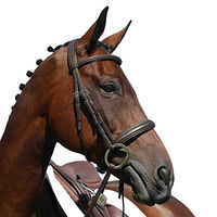 Produktbild von Collegiate Syntovia+ Cavesson Trense mit Polsterung für Warmblut in Braun
