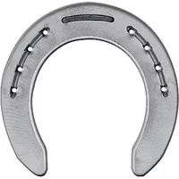 Produktbild von Colleoni Flache Vorderbeschläge mit 2 Stiften in Silber FAPBB