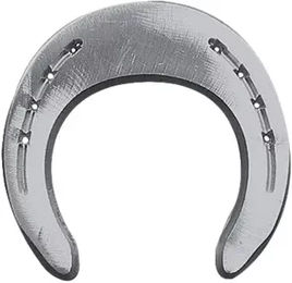 Produktbild von Colleoni Vorderfesselbeschläge 2 Tabs FAPLSBB Silber Metall