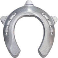 Produktbild von Colleoni Zwiebelpferd aus Aluminium in Silber Taille 3