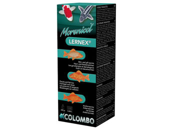 Produktbild von Colombo Lernex Fisch Teichfutter 200g