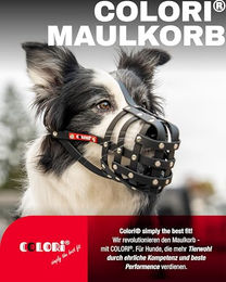 COLORI Maulkorb für mittlere Hunde aus Biothane in Schwarz Größe 6 – Bild 1 von 7