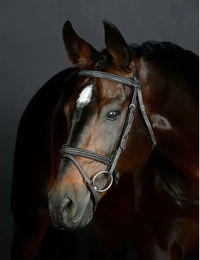 Produktbild von Comfitec Opulux Fancy Stitch Pferdezaum Hanoversche Collegiate Leder gepolstert