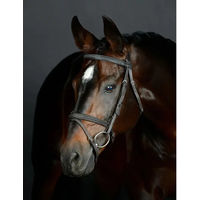 Produktbild von Comfitec Opulux Fancy Stitch Pferdezaum Hanoversche Collegiate Leder gepolstert