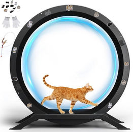 COMHOMA Katzenlaufrad Intelligenzspielzeug für Katzen XL 100 cm Schwarz mit abnehmbarem Teppich und Spielzeug – Bild 1 von 5