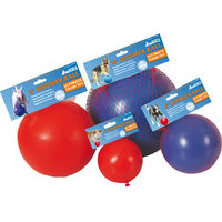 Produktbild von Company of Animals Boomer Ball Hundespielzeug aus Kunststoff XL 25 cm Blau oder Rot - 25 cm