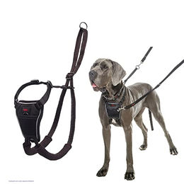Company of Animals Halti No-Pull Hundegeschirr Schwarz Größe L - 1 Stk. – Bild 1 von 9
