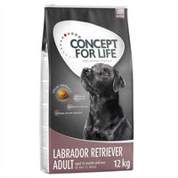 Produktbild von Concept for Life Hundefutter Labrador Retriever Adult Huhn 12 kg - 2 x 12 kg