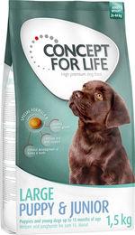 Produktbild von Concept for Life Hundefutter Large Puppy & Junior 1,5 kg - 1,5 kg