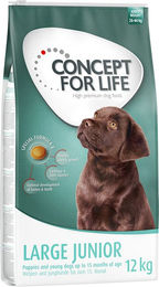 Produktbild von Concept for Life Hundefutter Large Puppy & Junior mit Lachs 12 kg - 12 kg
