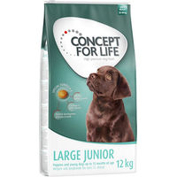 Produktbild von Concept for Life Hundefutter Large Puppy & Junior mit Lachs 12 kg - 12 kg