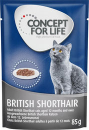 Produktbild von Concept for Life Katzenfutter British Shorthair Adult Ragout Stückchen in Sauce 24 x 85 g ohne Zucker und Konservierungsstoffe - 24 x 85 g