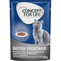 Produktbild von Concept for Life Katzenfutter British Shorthair Adult Ragout Stückchen in Sauce 24 x 85 g ohne Zucker und Konservierungsstoffe - 24 x 85 g