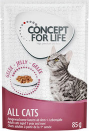 Produktbild von Concept for Life Katzenfutter für erwachsene Katzen Stückchen in Gelee 24 x 85 g - 24 x 85 g