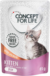 Concept for Life Kitten Nassfutter mit Lachs in Gelee getreidefrei 12 x 85 g – Bild 1 von 1