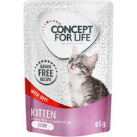Produktbild von Concept for Life Kitten Nassfutter Rind in Gelee getreidefrei 48 x 85 g - 24 x 85 g
