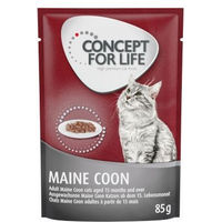 Produktbild von Concept for Life Maine Coon Adult Katzenfutter Ragout-Qualität 48 x 85 g - 48 x 85 g