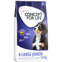 Produktbild von Concept for Life X-Large Puppy & Junior Hundefutter Lachs für Riesenrassen 12 kg