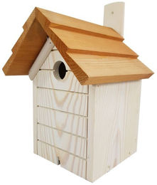 Conni Oberkircher's Meisenkasten aus Holz in Weiß für Wildvögel – Bild 1 von 3