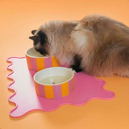 Coockoo Fressnapf Line me up! Bunt aus Melamin Größe M – Bild 1 von 2