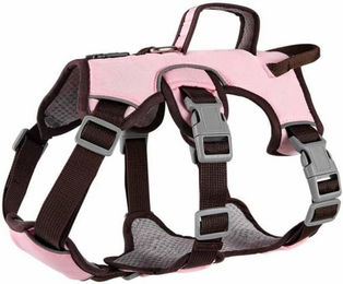 Coonoor Hundegeschirr Anti-Zug Sicherheitsgeschirr aus Oxford-Gewebe wasserdicht Rosa Größe M – Bild 1 von 3