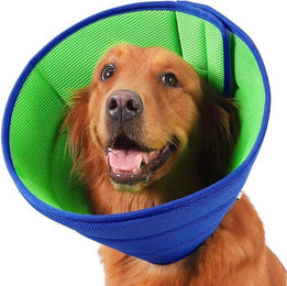 Coonoor Hundeweste Schutzkragen aus Netzstoff verstellbar S-XL – Bild 1 von 4