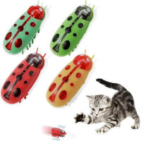 Produktbild von Coonoor Interaktives Katzenspielzeug und Hundebeschäftigungsspielzeug Set mit 4 Mini Käfern aus Kunststoff