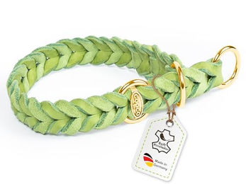 CopcoPet Erziehungshalsband für kleine Hunde aus Leder in Grün mit Zugstopp und Messingring 25–30 cm x 15 mm - 1 Stk. – Bild 1 von 3