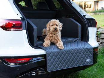 CopcoPet Hundebox Autositz für Hunde mit Ladekantenschutz und Anschnallsystem aus Kunstleder Grau 70x55x38cm – Bild 1 von 13