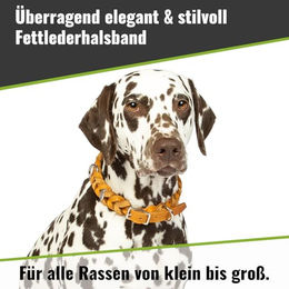 CopcoPet Hundehalsband aus braunem Leder für große Hunde 45–49 cm x 25mm – Bild 1 von 4