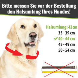 CopcoPet Hundehalsband aus geflochtenem Fettleder in Apfelgrün mit Messing-Dornschließe für kleine Hunde 25–29 cm x 15 mm - 1 Stk. – Bild 1 von 2