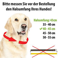 Produktbild von CopcoPet Hundehalsband Heidi aus Leder in Schwarz für kleine Hunde 25-30 cm x 20 mm