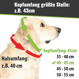 CopcoPet Hundehalsband Würger für kleine Hunde aus Leder in Marineblau 25–30 cm x 15 mm - 1 Stk. – Bild 1 von 2