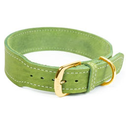 CopcoPet Hundehalsband Zoe aus Leder in Apfelgrün mit Messingbeschlägen verstellbar 25-30cm – Bild 1 von 4