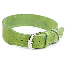 CopcoPet Hundehalsband Zoe aus Leder in Apfelgrün verstellbar mit verchromten Beschlägen 25-30cm – Bild 1 von 3