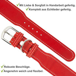 CopcoPet Hundehalsband Zoe aus Leder in Rot mit verchromten Beschlägen für kleine und mittelgroße Hunde 30-35cm – Bild 1 von 2