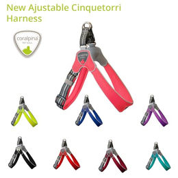 Produktbild von Coralpina Cinquetorri Hundegeschirr für kleine bis mittelgroße Hunde atmungsaktiv und verstellbar Türkis Größe 2