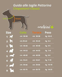 Coralpina Cinquetorri Hundegeschirr Mini Türkis Größe XS 25–35 cm – Bild 1 von 2