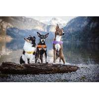Produktbild von Coralpina Cinquetorri Hundegeschirr Schwarz Größe XS