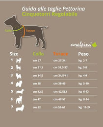 Coralpina Cinquetorri Hundegeschirr verstellbar atmungsaktiv Türkis Größe 1 für kleine bis mittelgroße Hunde – Bild 1 von 2