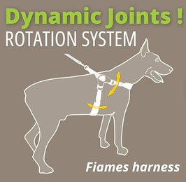 Coralpina Fiames Hundegeschirr reflektierend Schwarz Größe 9 für große Hunde 70-78 cm – Bild 1 von 3